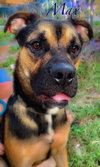 Max
