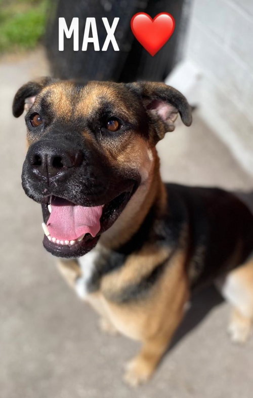 Max