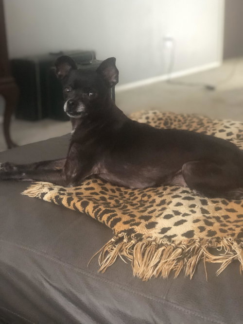 Lola