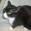 Minerva the Mama