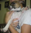 Riley the Puppy