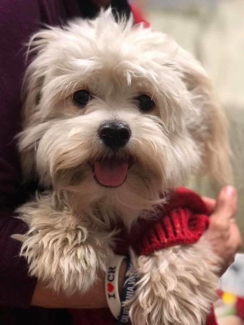 Bo