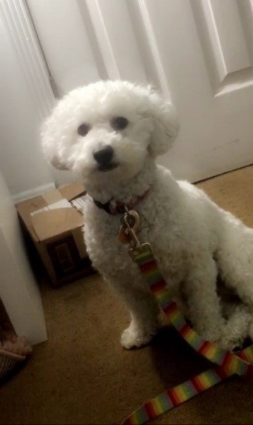 Frida Sophia