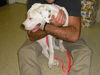 Becky the Puppy