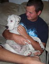 Becky the Puppy