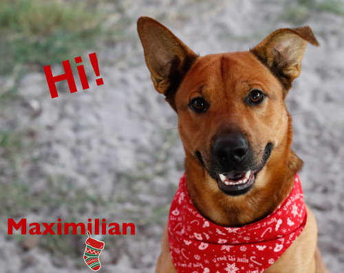 Maximilian
