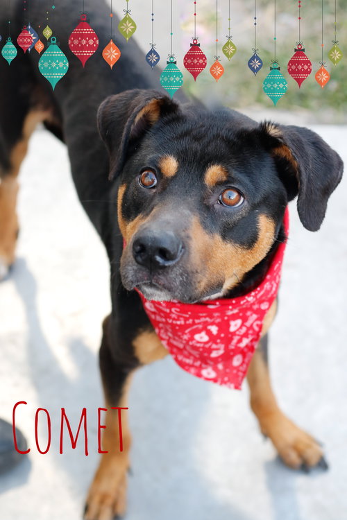 Comet