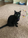 Mia