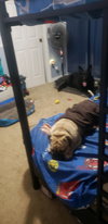 Charlie