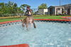 Sport the Trained & Loving Terrier (VIDEOS)
