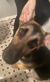 Kia *Bonded with her mommy Kara*