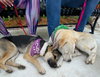 Kia *Bonded with her mommy Kara*