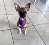 Pixie