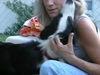 Flash the Border Collie