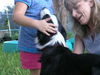 Flash the Border Collie