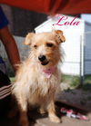 Lola