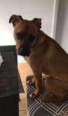 Tyson
