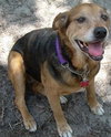Jess Our Katrina Rescue