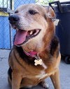 Jess Our Katrina Rescue