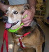 Jess Our Katrina Rescue