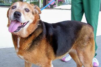 Jess Our Katrina Rescue