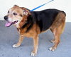 Jess Our Katrina Rescue