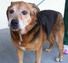 Jess Our Katrina Rescue