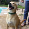 Marlee the Lab, Waiting Toooooo Long