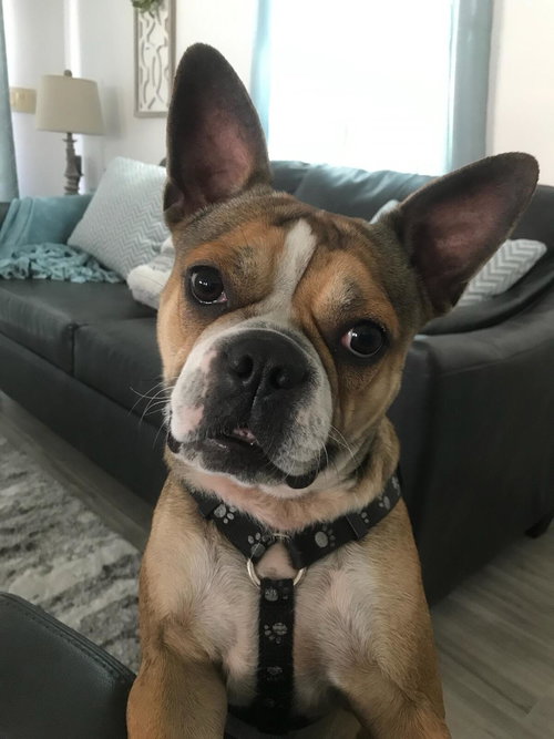 Tilly