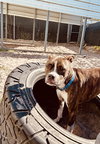 Cooper FKA  Peeta