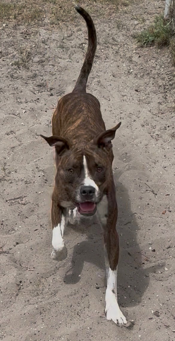 Cooper Image