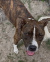 Cooper - Photo 2