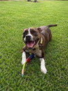 Cooper FH - Photo 3