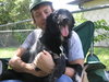 Travis Blaze the Border Collie Puppy ~ VIDEO