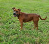 Brandy *THE SMILEY GIRL