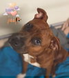 Brandy *THE SMILEY GIRL