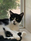 Zippy the Zealous girl