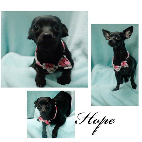 Hope