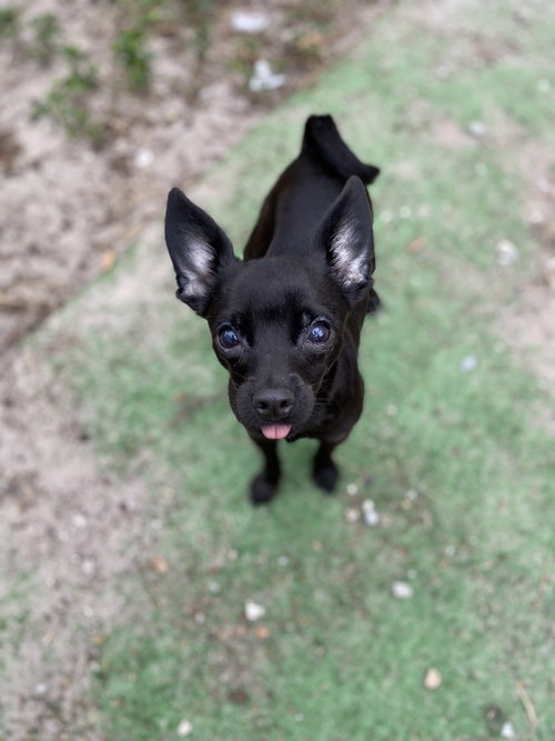 Lucy