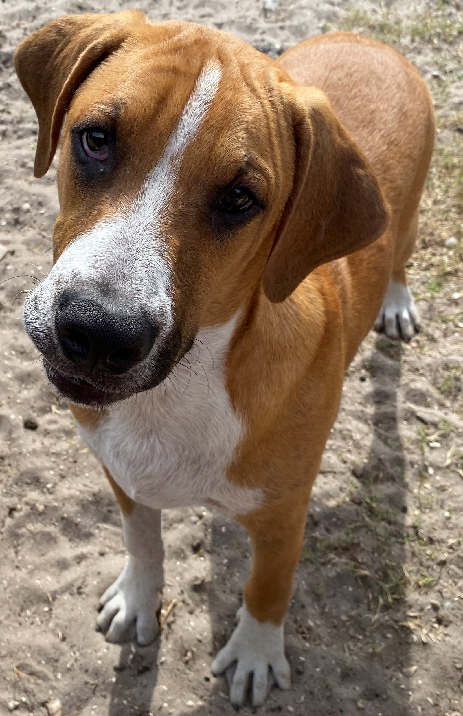 Marley