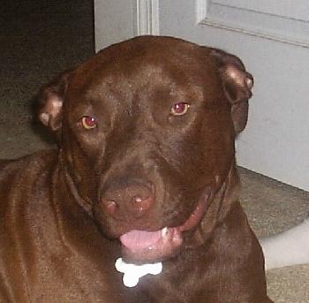 Roxy