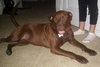 Roxy