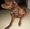 Roxy