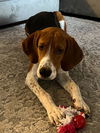 Charlie