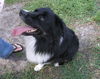 General Maximus the Aussie - Video