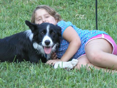 Titan the Border Collie - Video