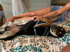 Koda   ~new update, pix and video!