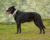 Catalina aka Lea