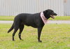 Catalina aka Lea