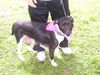 Manuela the BC Lab